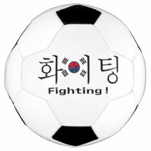 South Korea fighting hangul and flag supporter
