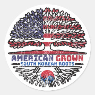 South Korean South Korea US American USA United Classic Round Sticker