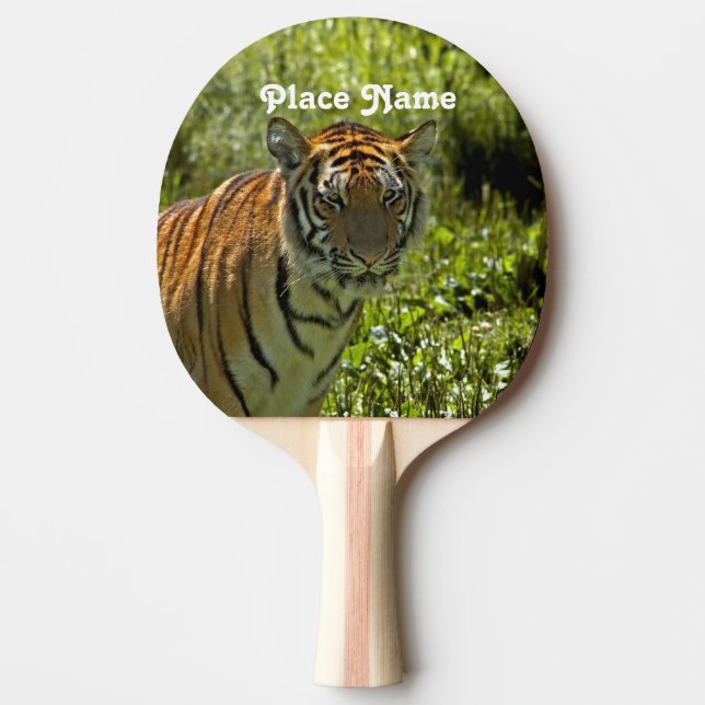 South Korean Tiger Ping Pong Paddle (Front)