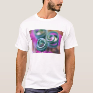 South Namaqualand, Curled lily leaves. Credit T-Shirt