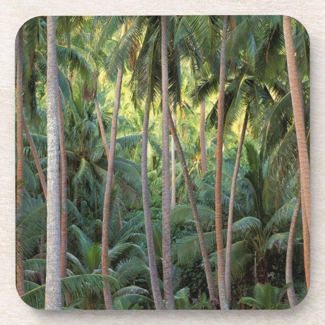 South Pacific, French Polynesia, Bora Bora. Coaster (Front)