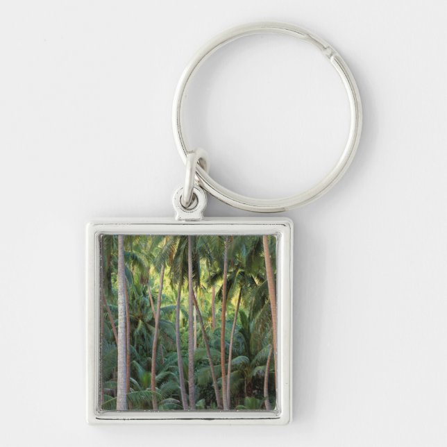 South Pacific, French Polynesia, Bora Bora. Key Ring (Front)