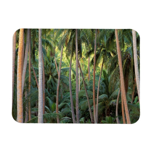 South Pacific, French Polynesia, Bora Bora. Magnet (Horizontal)
