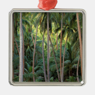 South Pacific, French Polynesia, Bora Bora. Metal Tree Decoration