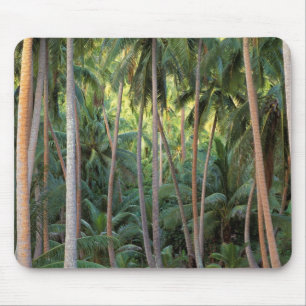 South Pacific, French Polynesia, Bora Bora. Mouse Mat