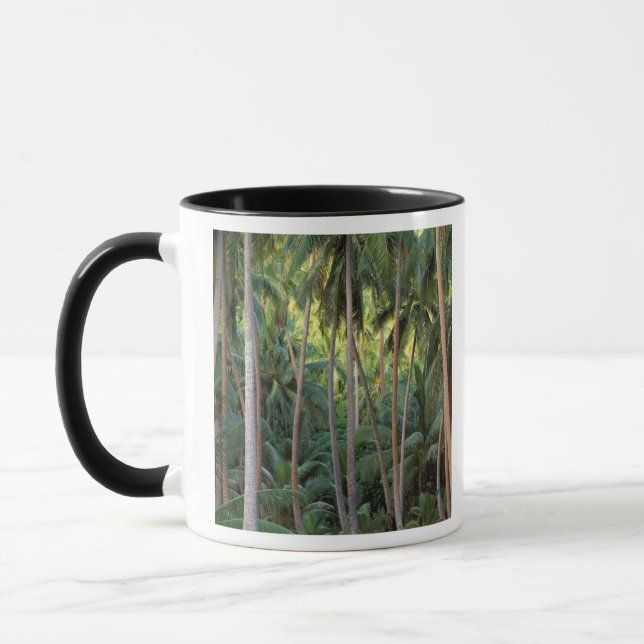 South Pacific, French Polynesia, Bora Bora. Mug (Left)