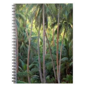 South Pacific, French Polynesia, Bora Bora. Notebook