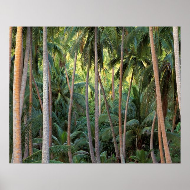 South Pacific, French Polynesia, Bora Bora. Poster (Front)