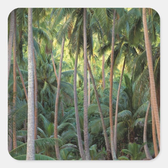 South Pacific, French Polynesia, Bora Bora. Square Sticker (Front)