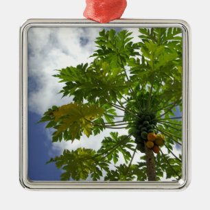 South Pacific, French Polynesia, Moorea. 2 Metal Tree Decoration