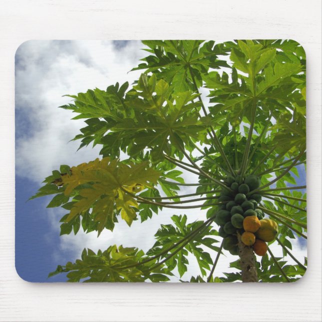 South Pacific, French Polynesia, Moorea. 2 Mouse Mat (Front)