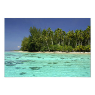 South Pacific, French Polynesia, Moorea 2 Photo Print