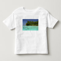South Pacific, French Polynesia, Moorea 2