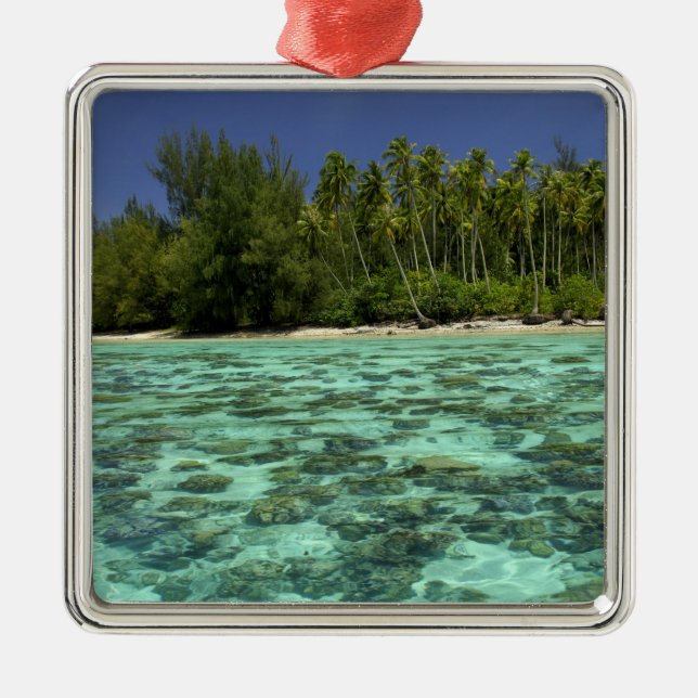 South Pacific, French Polynesia, Moorea 3 Metal Tree Decoration (Front)
