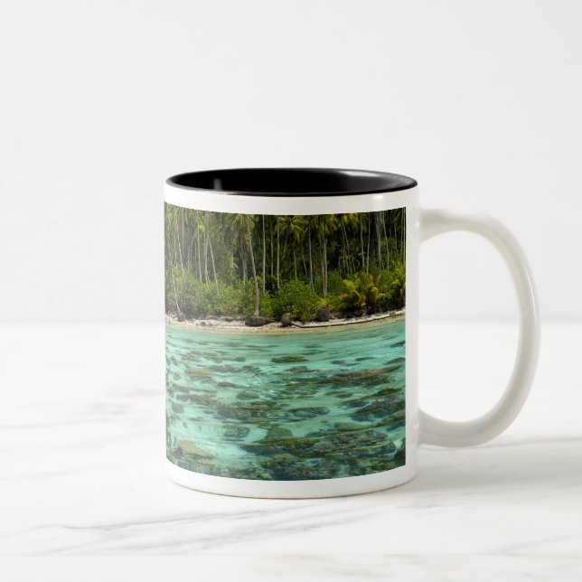 South Pacific, French Polynesia, Moorea 3 Two-Tone Coffee Mug (Right)