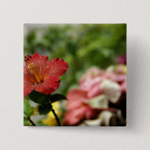 South Pacific, French Polynesia, Society 2 15 Cm Square Badge