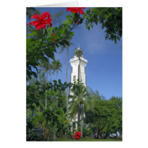 South Pacific, French Polynesia,Tahiti. Hibiscus 2