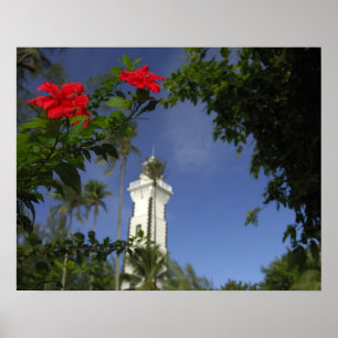 South Pacific, French Polynesia,Tahiti. Hibiscus 3 Poster