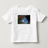 South Pacific, French Polynesia,Tahiti. Hibiscus 3