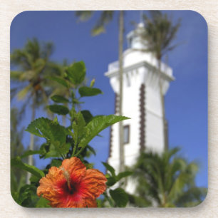 South Pacific, French Polynesia,Tahiti. Hibiscus Coaster