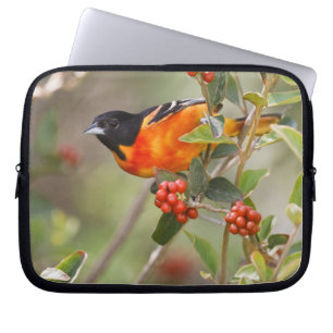 South Padre Island, Texas, USA, Baltimore Oriole Laptop Sleeve