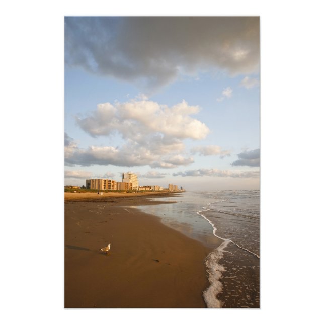 South Padre Island, Texas, USA resort hotels, Photo Print (Front)
