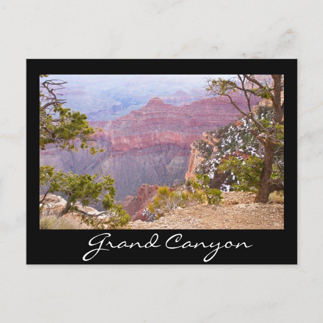 South Rim Grand Canyon Postcard (Front)