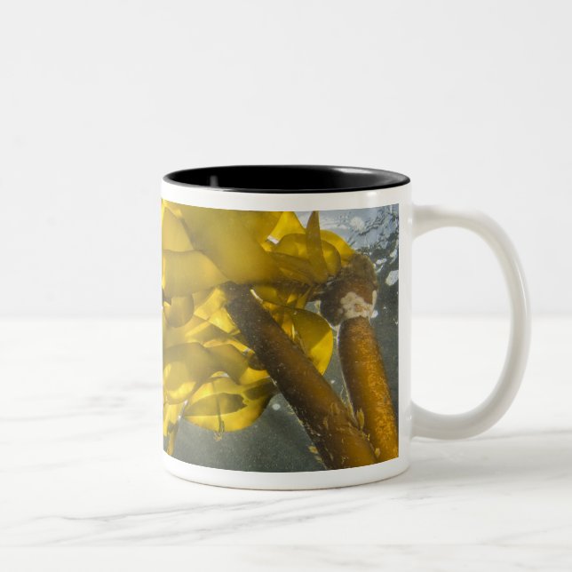 South side of Ewing Island, San Juan Islands, Two-Tone Coffee Mug (Right)