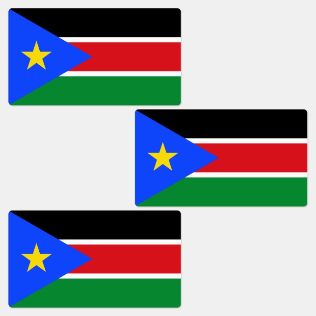 South Sudan Flag (Group)