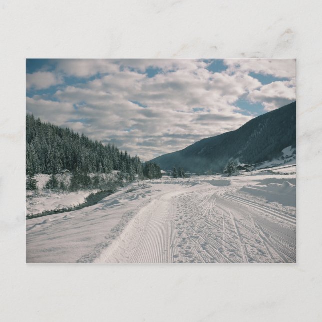 South Tyrol Postcard (Front)