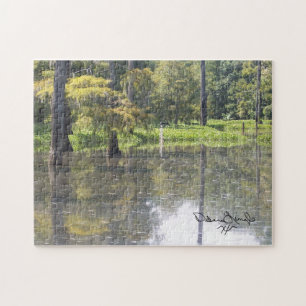 Southeast Texas Puzzle