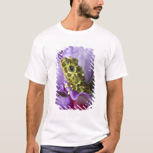 Southeast Vietnam. Close-up of mossy tree frog T-Shirt