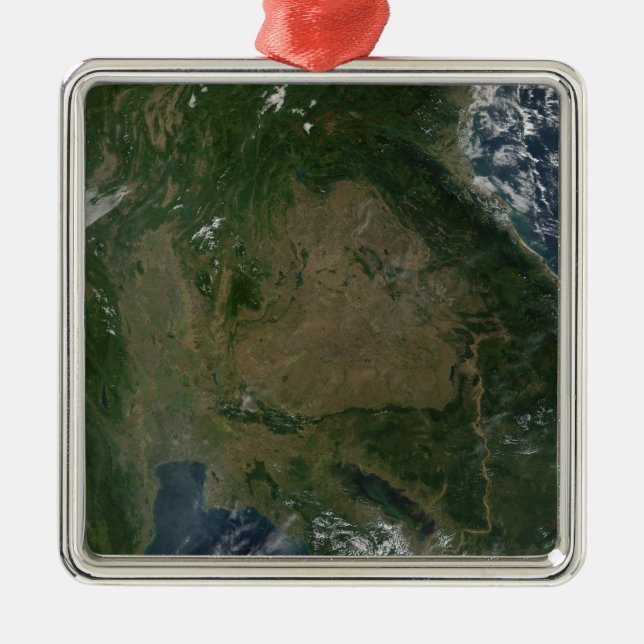 Southeastern Asia Metal Tree Decoration (Front)