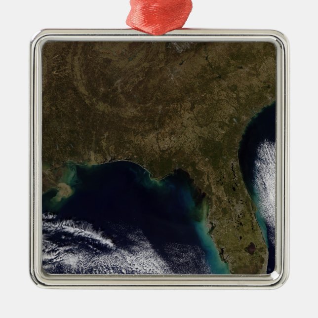Southeastern United States Metal Tree Decoration (Front)