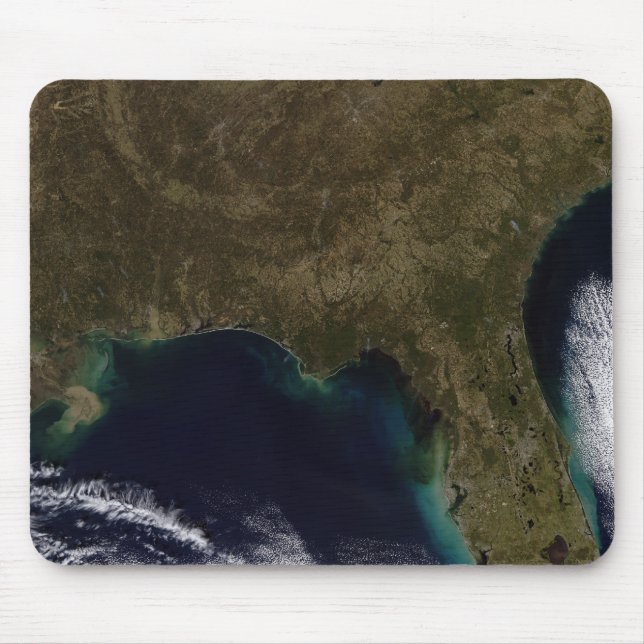 Southeastern United States Mouse Mat (Front)