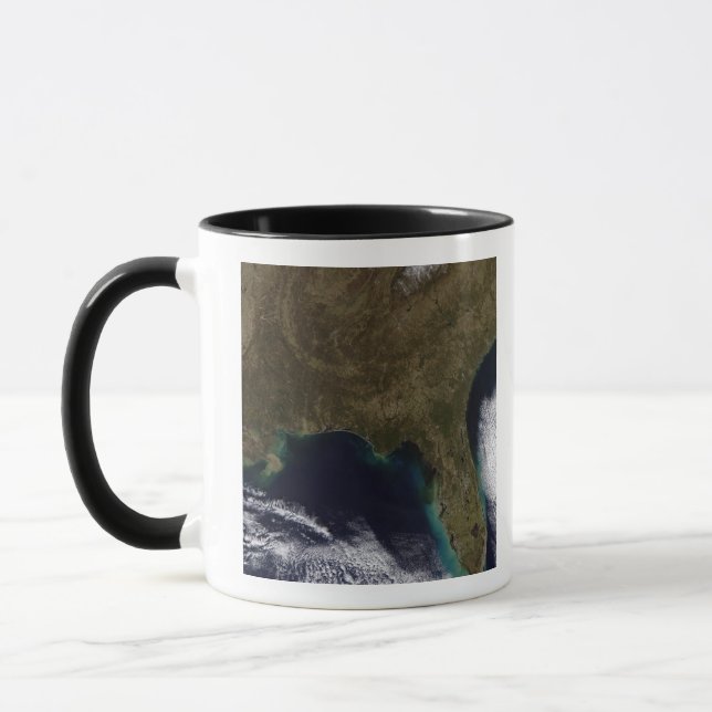 Southeastern United States Mug (Left)