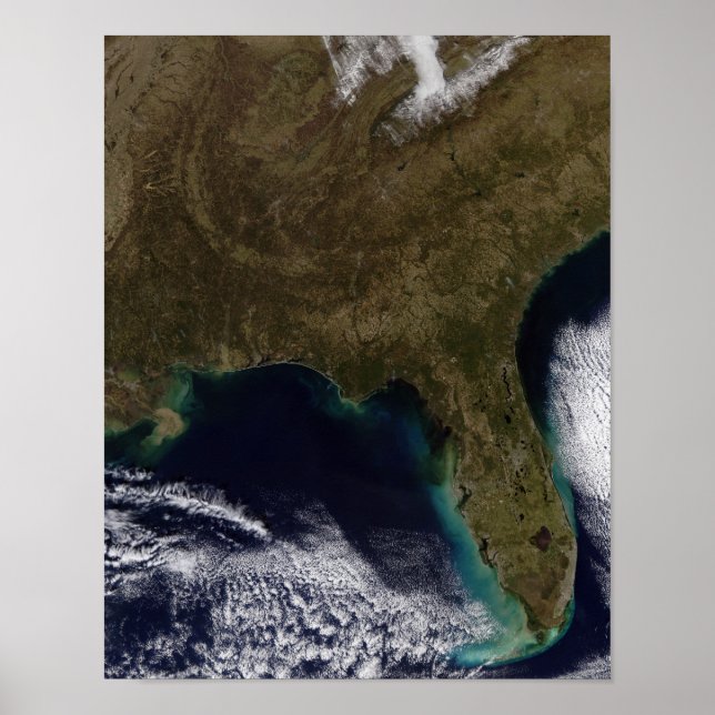 Southeastern United States Poster (Front)