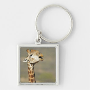 Southern African giraffe (Giraffa camelopardalis Key Ring