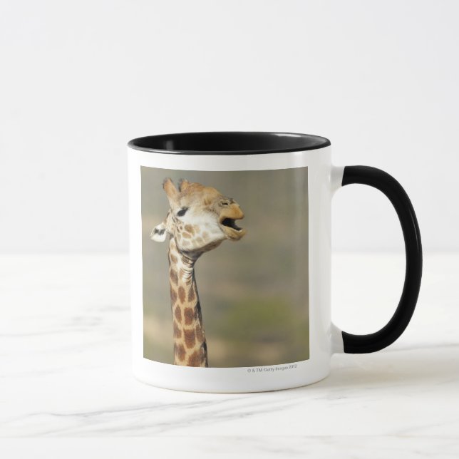 Southern African giraffe (Giraffa camelopardalis Mug (Right)