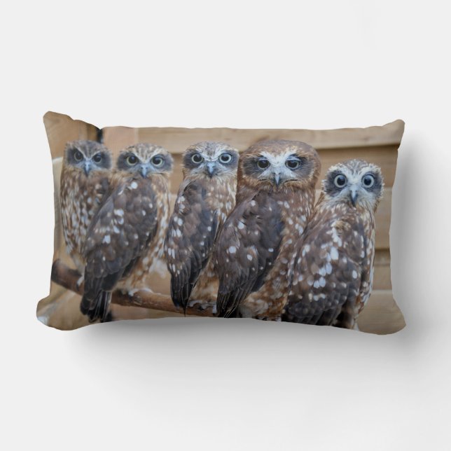 Southern Boobook Cross Eyed Owls Lumbar Cushion (Front)