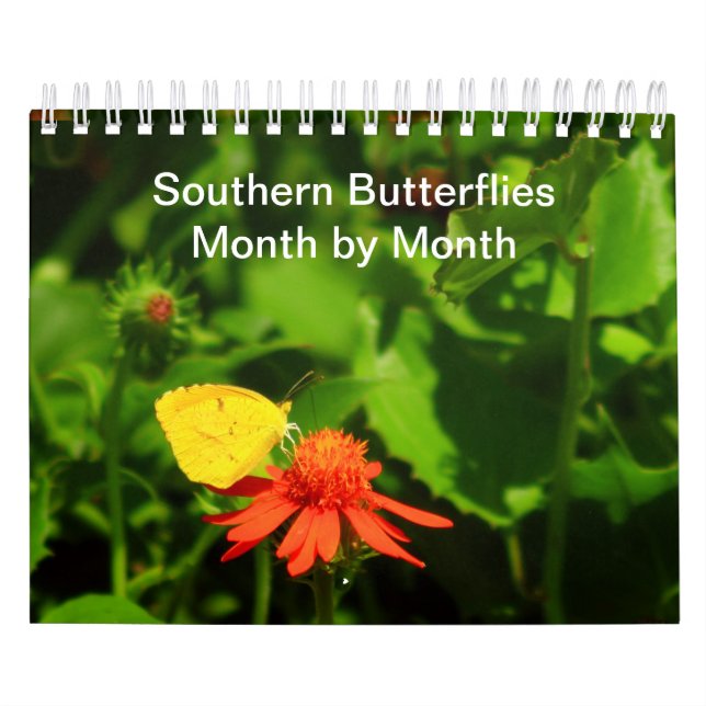 Southern Butterflies Month-By-Month 2023 Calendar (Cover)