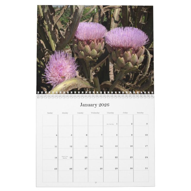 Southern California Flowers Calendar (Jan 2026)