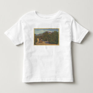 Southern California - Picking Oranges Toddler T-Shirt