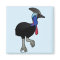Southern Cassowary