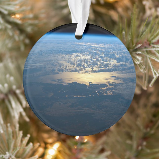 Southern Chile's Laguna San Rafael National Park. Ornament (Tree)