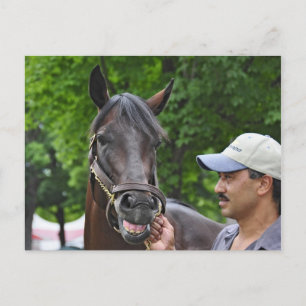 Southern Equine Stables - Open Water Postcard