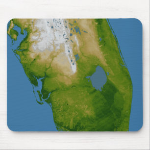 Southern Florida Mouse Mat
