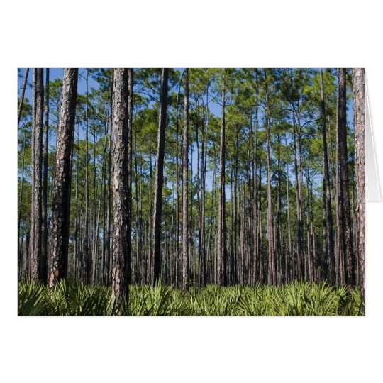 Southern Forest Card