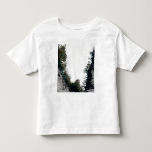Southern Greenland Toddler T-Shirt