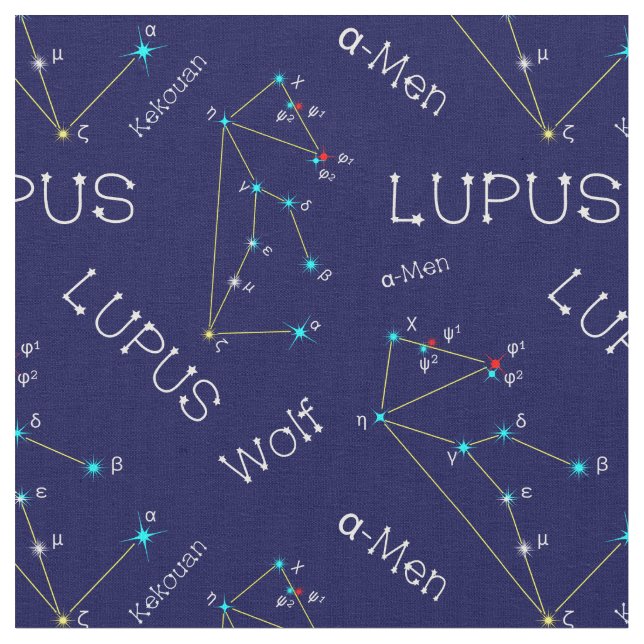 Southern Hemisphere Constellation Lupus Fabric (Close Up)